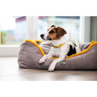 Lit pour chien Anam Cara Comfort HKM Taupe / doré jaune Gris Lit pour chien Anam Cara Comfort HKM Taupe / doré jaune Gris