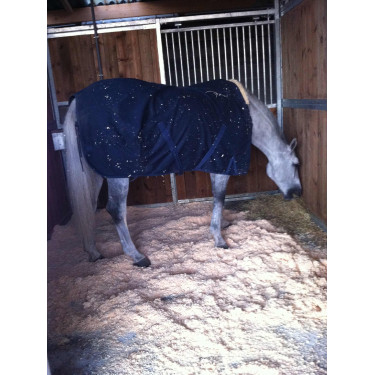 Tapis major - Sol de box