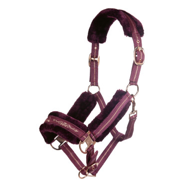 Licol Rosegold HKM Licol Rosegold HKM