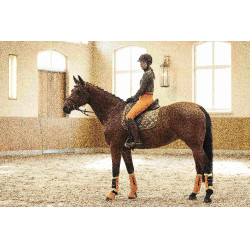 Tapis Allure Cheval HKM Vert olive