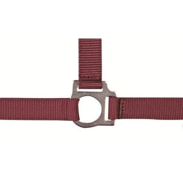 Licol Stars Economy HKM Rouge foncé