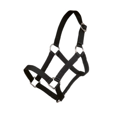 Halster Minishetty HKM Zwart