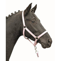 Licol Stars Economy Softice HKM Milky pink Licol Stars Economy Softice HKM Milky pink