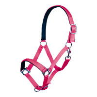 Licol Stars Softice doublure douce HKM Rose Licol Stars Softice doublure douce HKM Rose