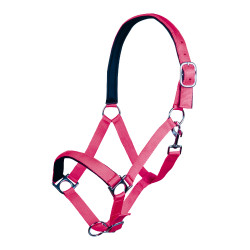 Licol Stars Softice doublure douce HKM Licol Stars Softice doublure douce HKM