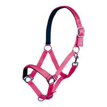Licol Stars Softice doublure douce HKM Licol Stars Softice doublure douce HKM