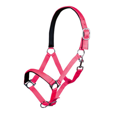 Halster Stars Softice zachte voering HKM Neonroze Halster Stars Softice zachte voering HKM Neonroze