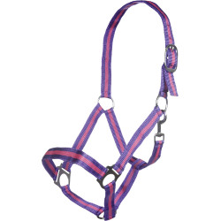 Halster Budapest HKM Lila / roze Violet