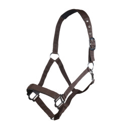 Licol Sydney Style HKM Marron foncé