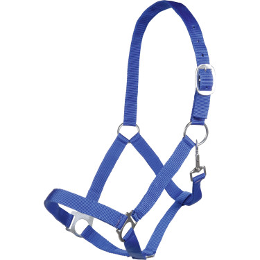 Licol Brisbane HKM Bleu royal