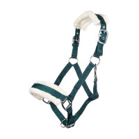 Licol Bischofshofen rembourrage Teddy HKM Vert foncé Licol Bischofshofen rembourrage Teddy HKM Vert foncé