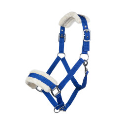 Licol Bischofshofen rembourrage Teddy HKM Bleu royal