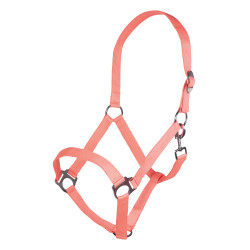 Halster Stars Economy Softice HKM Halster Stars Economy Softice HKM