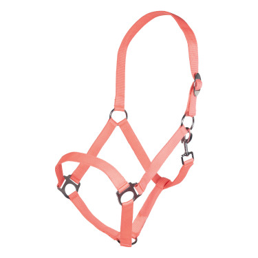 Halster Stars Economy Softice HKM Halster Stars Economy Softice HKM
