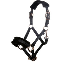 Licol Rosegold Glamour Style HKM Noir / or rose
