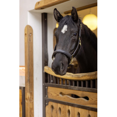 Leren halster Gold HKM Zwart