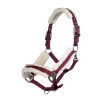 Licol Strong HKM Bordeaux Licol Strong HKM Bordeaux