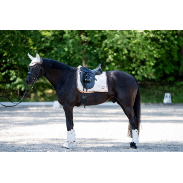 Dressuurpeesbeschermers Edinburgh achter HKM Dressuurpeesbeschermers Edinburgh achter HKM