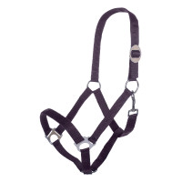 Licol Stars Economy HKM Lilas foncé Violet Licol Stars Economy HKM Lilas foncé Violet