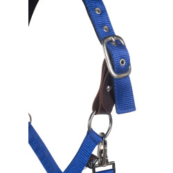 Licol Breakaway 2 HKM Bleu royal Licol Breakaway 2 HKM Bleu royal