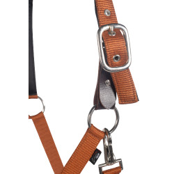 Licol Breakaway 2 HKM Cuivre Marron Licol Breakaway 2 HKM Cuivre Marron