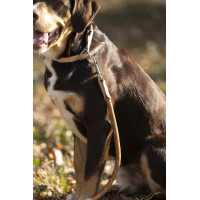 Hondenhalsband Anam Cara touw HKM Brandy Bruin Hondenhalsband Anam Cara touw HKM Brandy Bruin