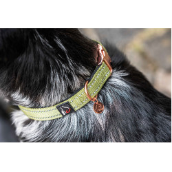 Collier de chien Ida nylon HKM Pistache Vert