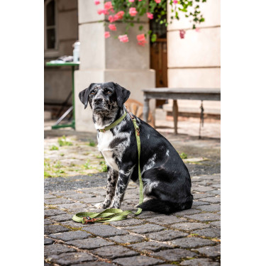 Collier de chien Ida nylon HKM Collier de chien Ida nylon HKM