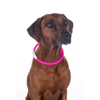 LED-lichtgevende halsband voor honden HKM Roze