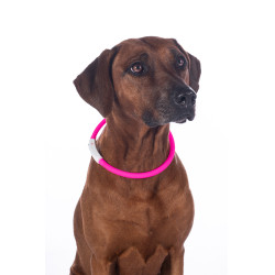 LED-lichtgevende halsband voor honden HKM LED-lichtgevende halsband voor honden HKM