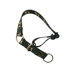 Collier pour chien Beagle HKM Vert foncé