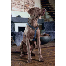 Harnais pour chien Anam Cara Basic nylon HKM Bleu foncé / pétrole