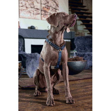 Harnais pour chien Anam Cara Basic nylon HKM Bleu foncé / pétrole