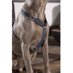 Harnais pour chien Anam Cara Basic nylon HKM Bleu foncé / pétrole