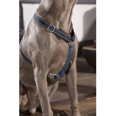 Harnais pour chien Anam Cara Basic nylon HKM Bleu foncé / pétrole