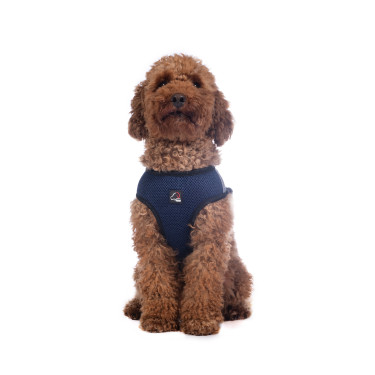 Hondentuig Buddy Soft HKM Hondentuig Buddy Soft HKM
