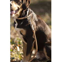 Dressuurlijn voor honden Anam Cara touw HKM Brandy Bruin