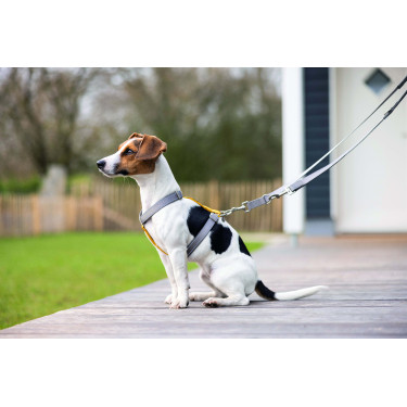 Dressuurlijn voor honden Anam Cara nylon HKM Taupe Bruin