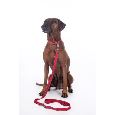 Dressuurlijn voor honden Anam Cara nylon HKM Dressuurlijn voor honden Anam Cara nylon HKM