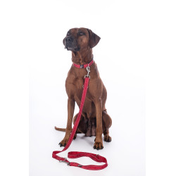 Laisse de dressage pour chiens Anam Cara nylon HKM Rouge