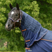 Couvre-cou Bucas Therapy Cooler Neck Marine / orange Bleu Couvre-cou Bucas Therapy Cooler Neck Marine / orange Bleu