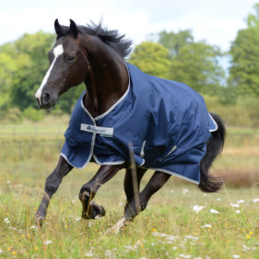Bucas Freedom Turnout 150g deken Bucas Freedom Turnout 150g deken