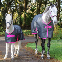 Couverture d'écurie Bucas Freedom Stable 150g Charbon Gris Couverture d'écurie Bucas Freedom Stable 150g Charbon Gris