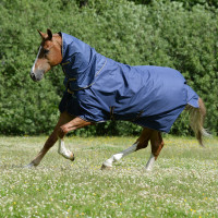 Nekstuk Bucas Irish Combi Neck 300g Marine / goudkleurig Blauw Nekstuk Bucas Irish Combi Neck 300g Marine / goudkleurig Blauw