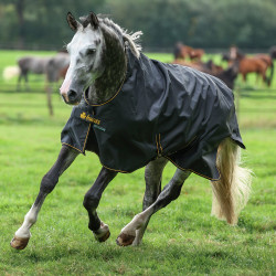 Bucas Irish Turnout High Neck Extra 300g Deken Zwart / goud Bucas Irish Turnout High Neck Extra 300g Deken Zwart / goud