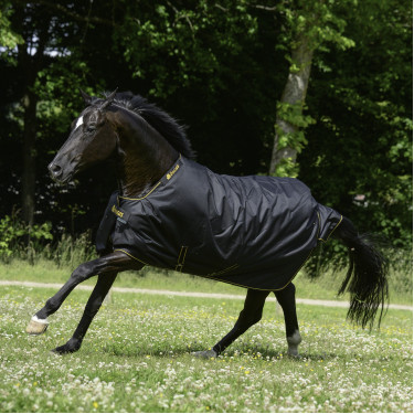 Bucas Irish Turnout Extra 300g deken Zwart / goud