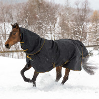 Bucas Irish Turnout Extra 300g deken Zwart / goud