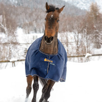 Bucas Irish Turnout Extra 300g deken Marine / goudkleurig Blauw