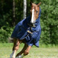 Bucas Irish Turnout Medium 150g deken Marine / goudkleurig Blauw Bucas Irish Turnout Medium 150g deken Marine / goudkleurig Blauw