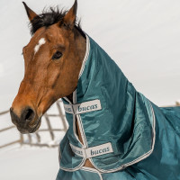 Halsstuk Bucas Atlantic Combi Neck 300g Groen